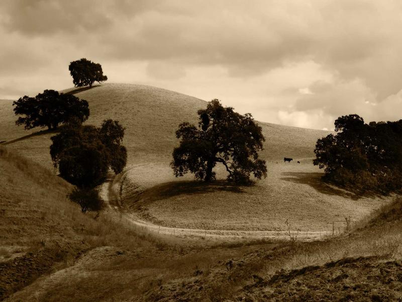 sudoku mind game screenshot 5