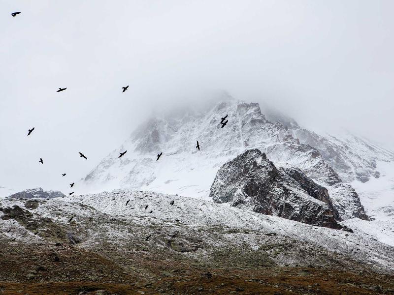 sudoku focus mode screenshot 3